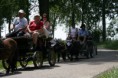 /album/menrit-04-06-2011/a06-04-2011-25-jpg/